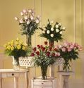 One Dozen Roses