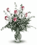 Roses And Romance Roses And Romance