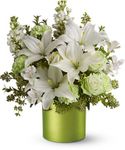 Sea Spray Bouquet Flowers