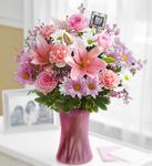 Sentimental Surprise Sentimental Surprise