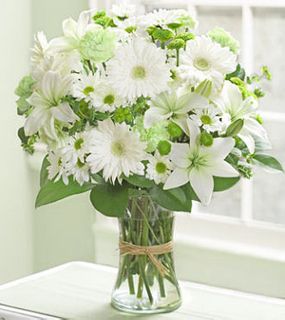 Serene Green