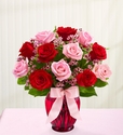 Shades of Pink and Red 