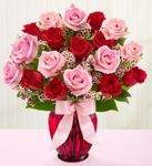 Shades of Pink and Red