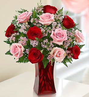 Shades of Pink and Red