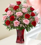 Shades of Pink and Red