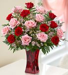 Shades of Pink and Red Premium Long Stem Roses
