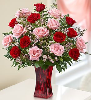 Shades of Pink and Red Premium Long Stem Roses