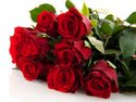 Simple Gifts 