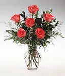Six Orange Roses 