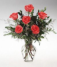 Six Orange Roses 