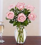 Six Pink Rose Six Pink Rose