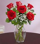 Six Rose Six Rose