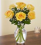 Six Yellow Rose Six Yellow Rose