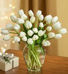 Snowflake Tulips Snowflake Tulips