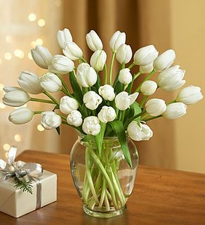 Snowflake Tulips