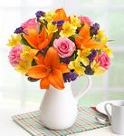 Sorbet Bouquet Sorbet Bouquet