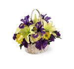 Spirit of Spring Basket Spirit of Spring Basket
