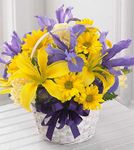 Spirit of Spring Basket - .Thank You Spirit of Spring Basket - .Thank You