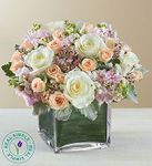 Spring Bouquet Spring Bouquet