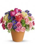 Spring Bouquet Spring Bouquet