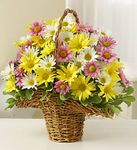 Spring Daisy Basket Spring Daisy Basket