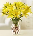 Spring Flowers Gifts Spring Flowers Gifts