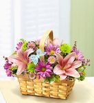 Spring Inspiration Spring Inspiration