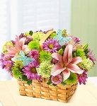 Spring Inspiration 