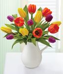 Spring Pitcher Full of Tulips