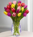 Spring Tulip Bouquet vase limit variety Spring Tulip Bouquet vase limit variety