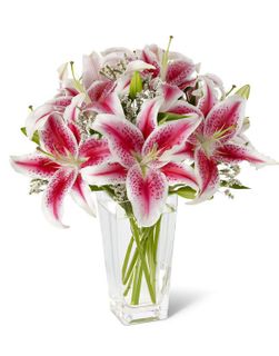 stargazer lilies