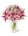 stargazer lilies