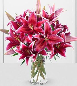 Stargazer Lily Bouquet  