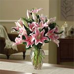Striking Stargazers Striking Stargazers
