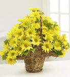 Summer Daisy Basket Summer Daisy Basket
