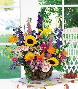 Summertime Sensation Basket