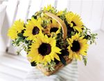 Sunflower Basket 