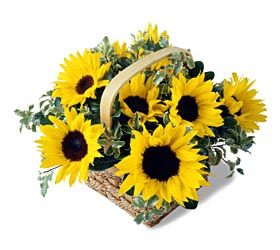 Sunflower Basket