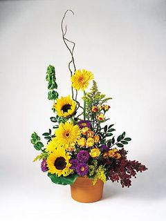Sunflower pot