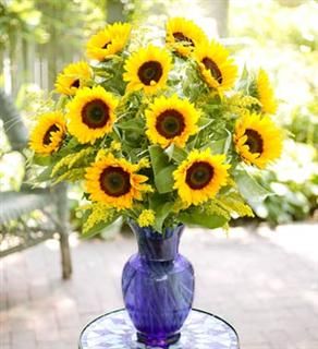 Sunflower Vase Arrangement 