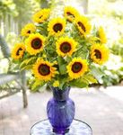 Sunflower Vase Arrangement  Sunflower Vase Arrangement