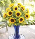 Sunflower Vase Arrangement Sunflower Vase Arrangement