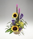 Sunflowers Basket Arrangement Sunflowers Basket Arrangement
