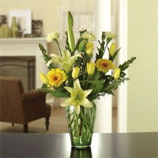 Sunny and Bright flowers