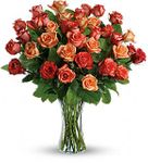 Sunrise Splendor Flowers Sunrise Splendor Flowers