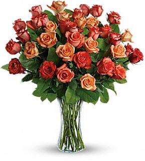 Sunrise Splendor Flowers