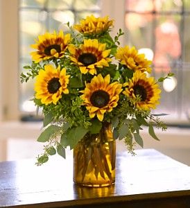 Sunrise Sunflowers