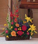 Sunshine Basket
