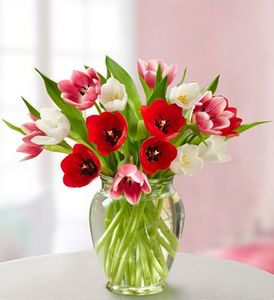 Sweetest Love Tulips, 15 Stems