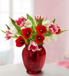 Sweetest Love Tulips, 15 Stems
